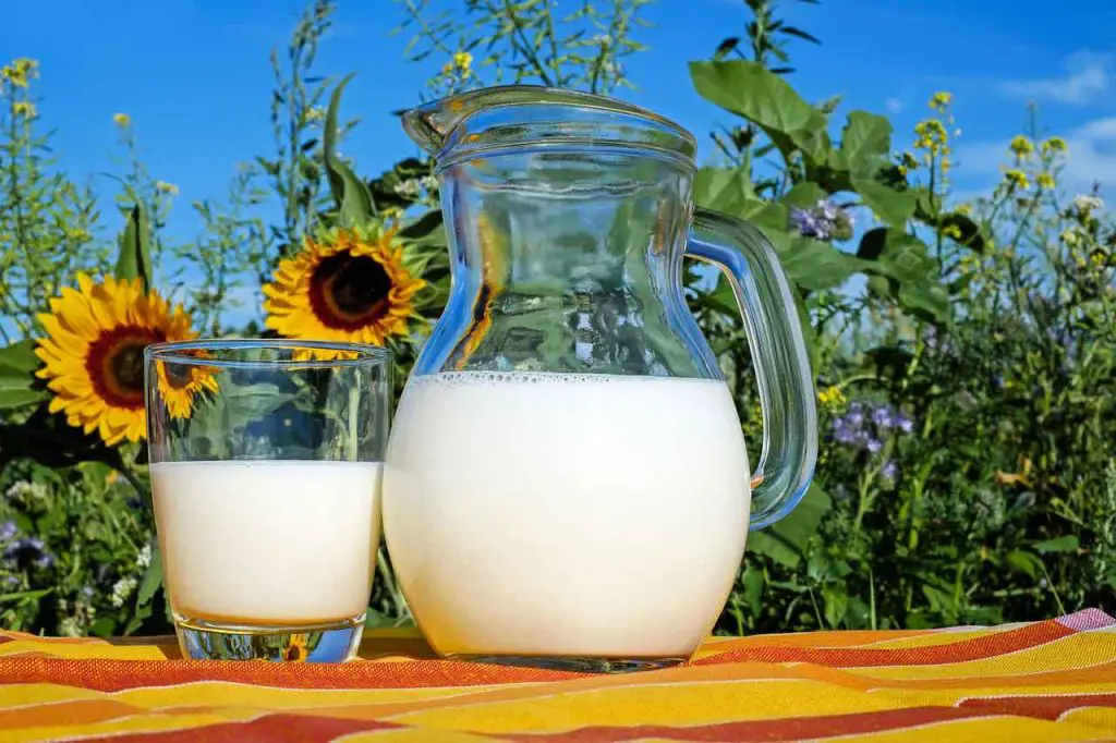 Understanding Almond Milk and Its Storage Needs