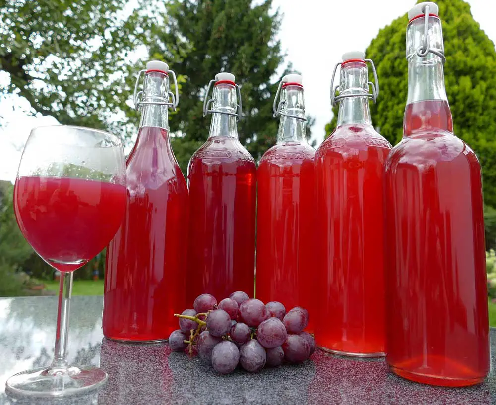 Fresh Homemade Cranberry Juice Recipe