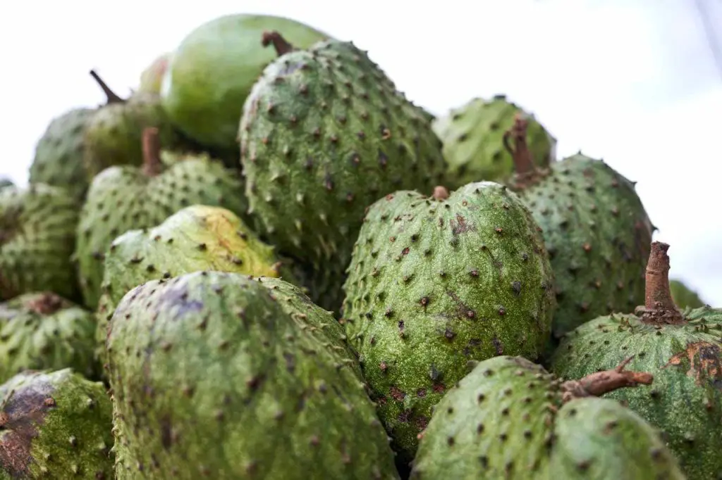 The Ultimate Guide to Soursop Juice: Benefits, Recipes, and More